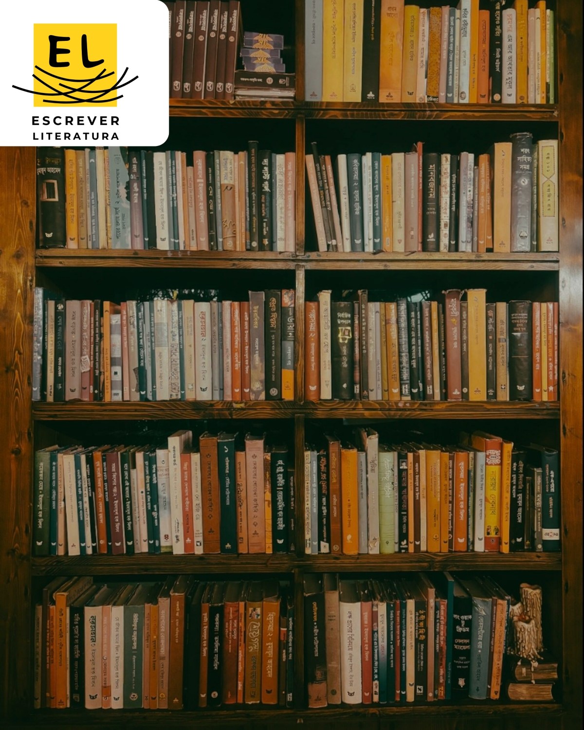 Excelência literária e escolhas&nbsp;conscientes